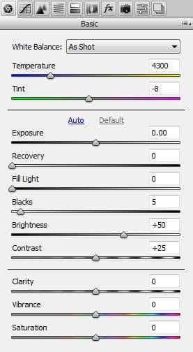 adobe-camera-raw-basic-2459978