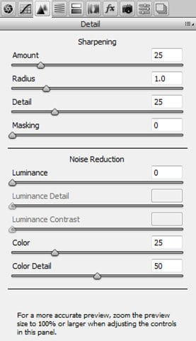 adobe-camera-raw-detail-8503155