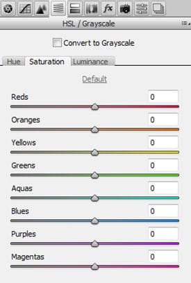 adobe-camera-raw-hsl-grascale-3008540