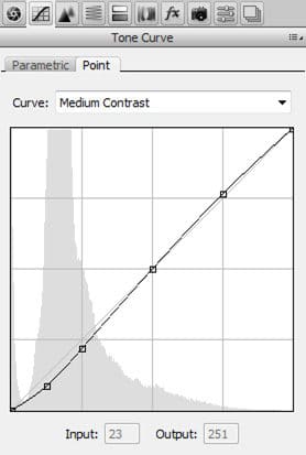 adobe-camera-raw-tone-curve-5935203